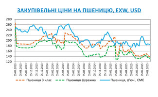 Огляд ринків зернових та олійних культур станом на 21 серпня 2015 року