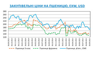 Огляд ринків зернових та олійних культур станом на 11 вересня 2015 року