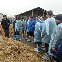 Іноземні фахівці поділилися досвідом покращення раціону годівлі корів  