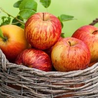 Ukrainian exports of apples grew up