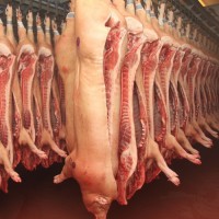 Pork export dropped in 4.5 times