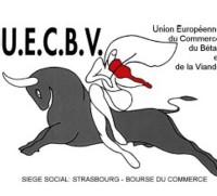 UECBV UCAB